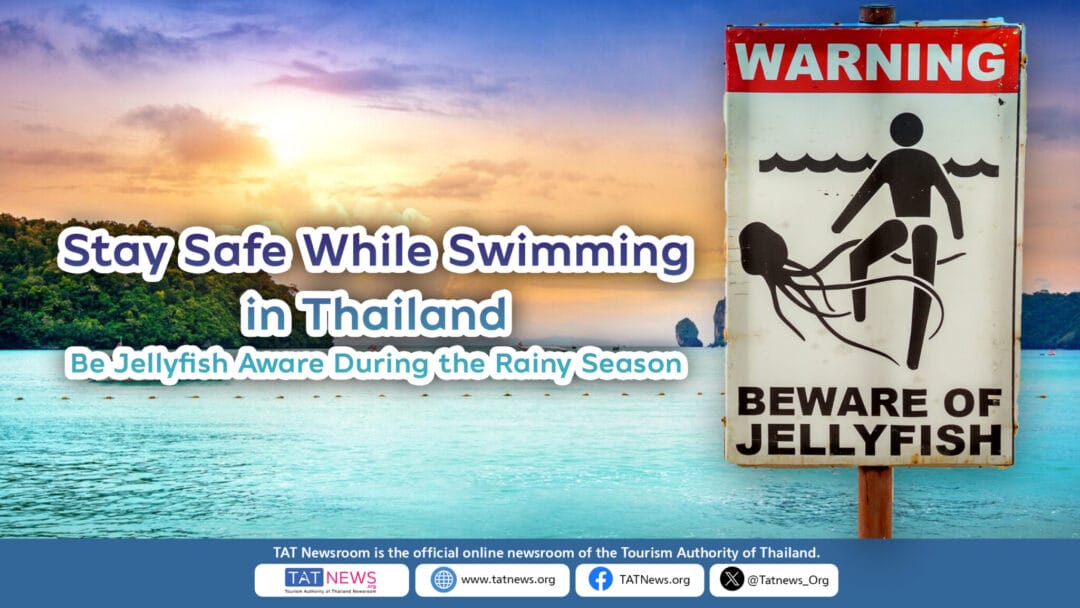 Jellyfish Safety Advice in Thailand – What Tourists Should Know Before Swimming