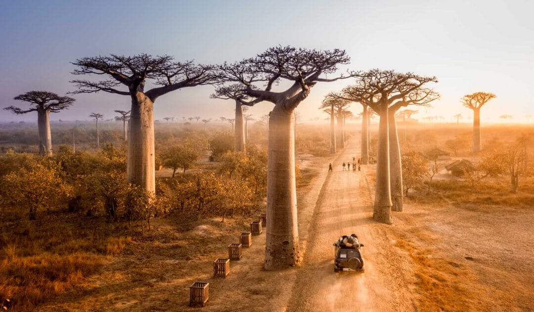 Madagascar Faces Turmoil Amid Military Power Struggle