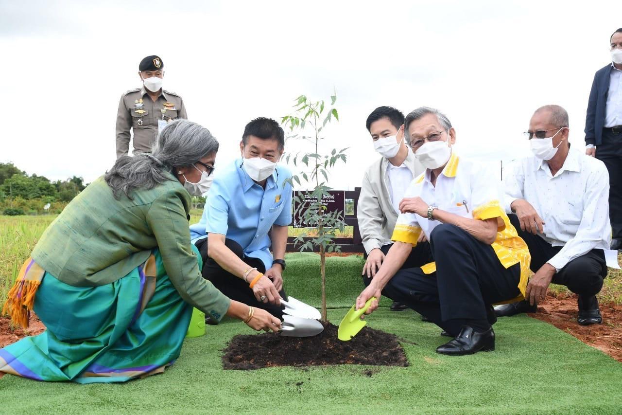Indian neem saplings plantation ceremony held in Trang province