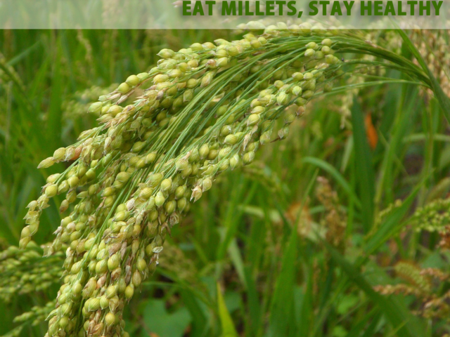 International Year of Millets 2023 is an initiative for moving towards Nutritional Security