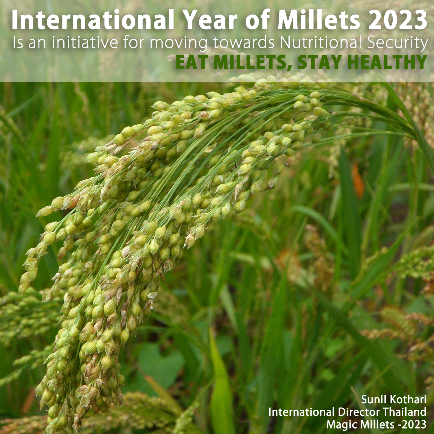 International Year of Millets 2023 is an initiative for moving towards Nutritional Security