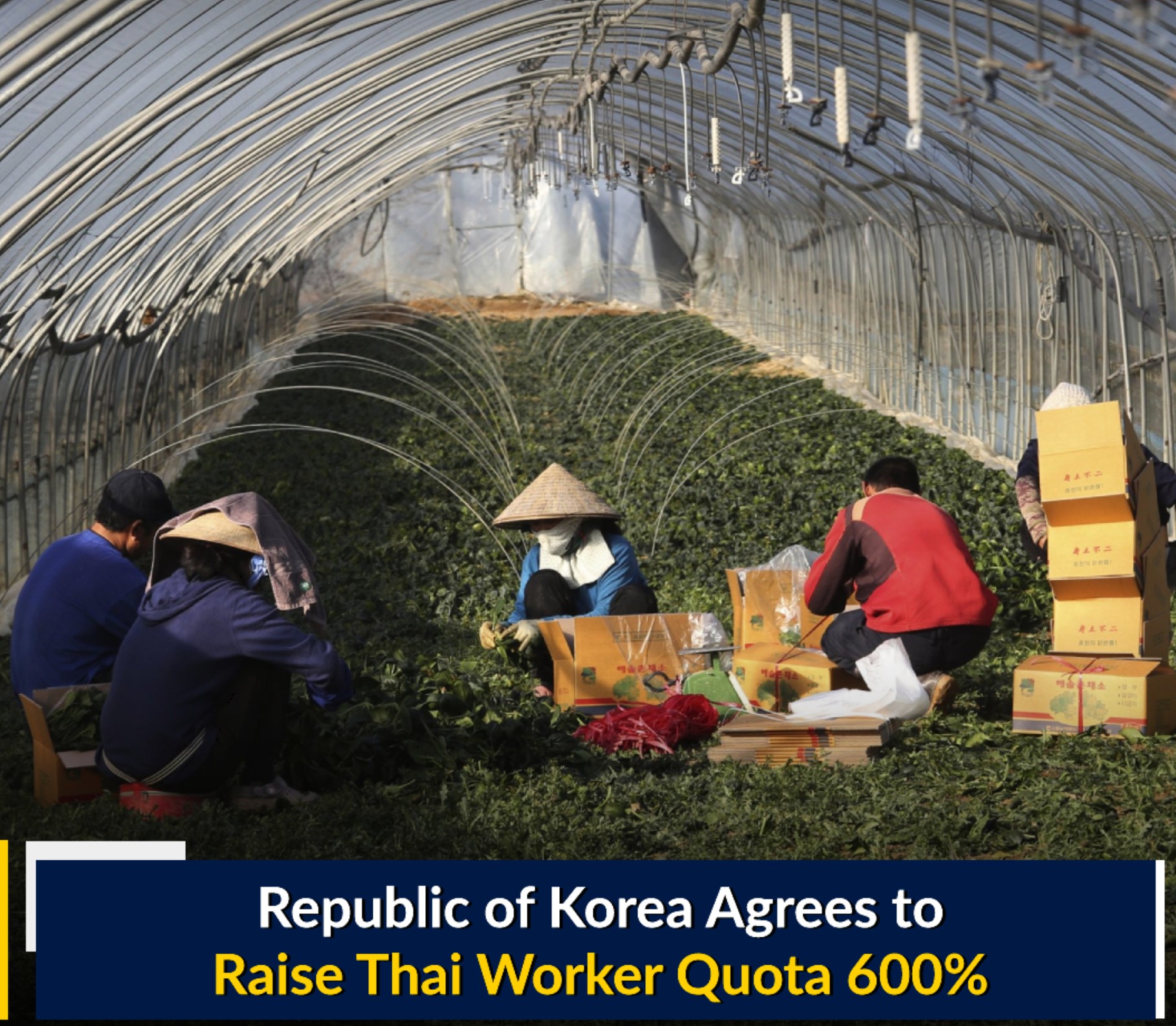 Republic of Korea Agrees to Raise Thai Worker Quota 600%